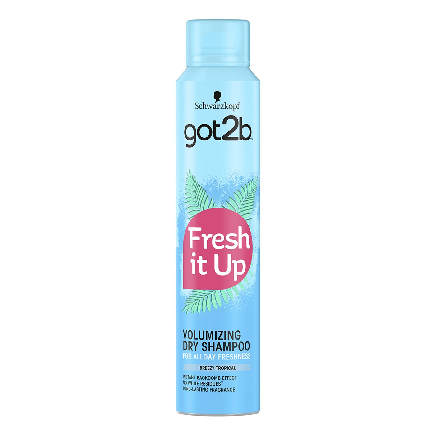 Fresh It Up Volumising Dry Shampoo 200ml