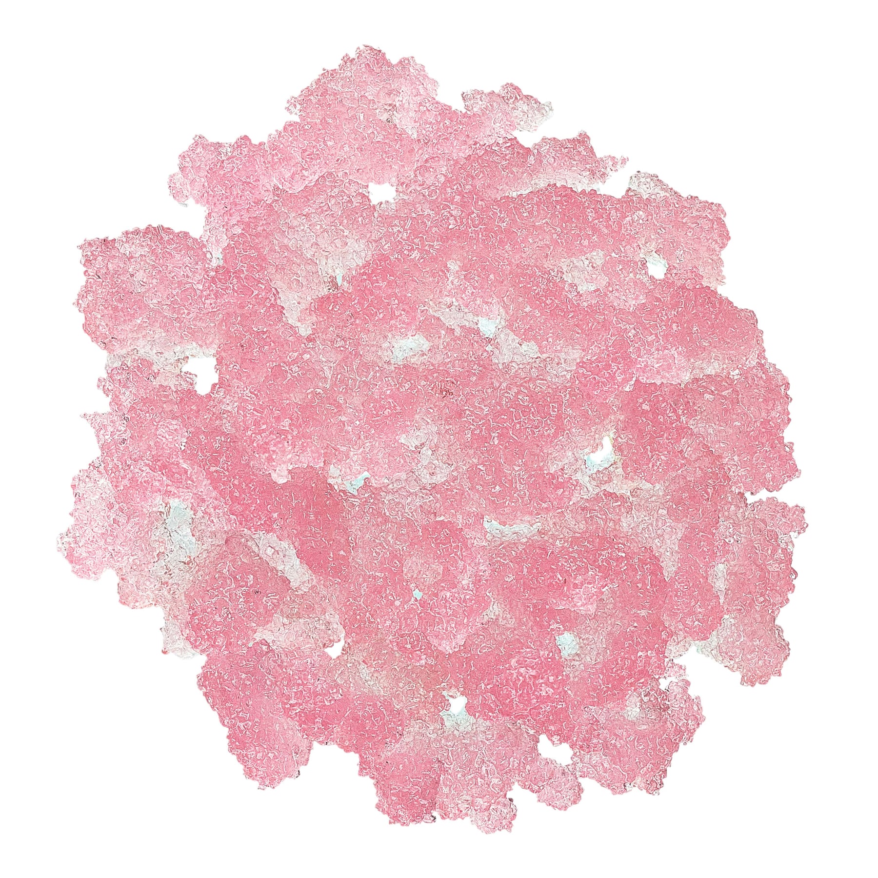 Lip Scrub Pink 15g Pink Grapefruit|15g